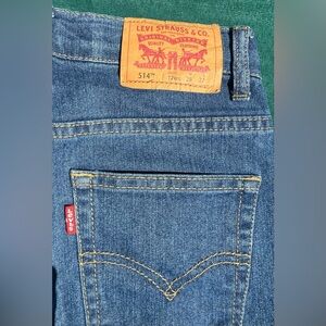 Levi's Blue Denim Jeans with Iconic Stitching